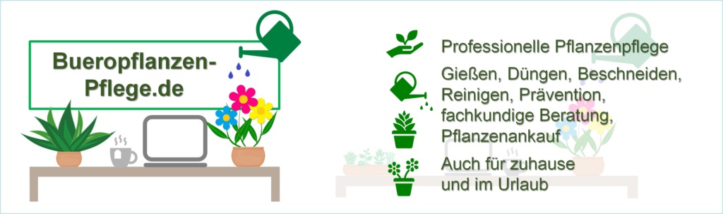Wir bieten Pflanzenpflege für Büros, Praxen, Ämter und Privat in Berlin: Neubepflanzung, Gießservice  Pflanzenservice, Büropflanzen, Pflanzeneinkauf. 