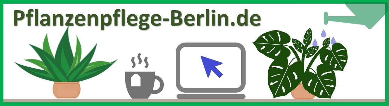 Pflanzenpflege Berlin, Gießservice, Bürogestaltung, Zimmerpflanzen, Dienstleistung, Pflanzenberatung